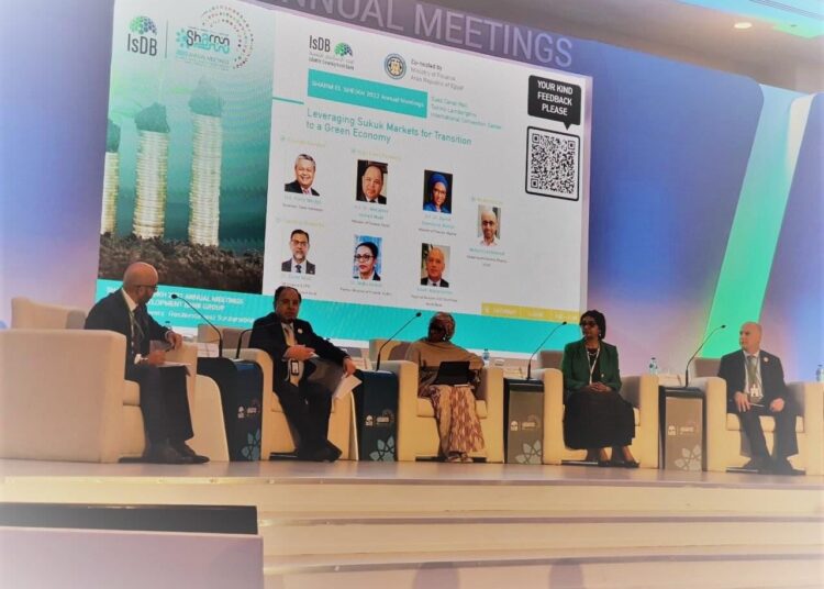 Finance minister says sukuk used to attract new segments of investors 1 - Egyptian Gazette