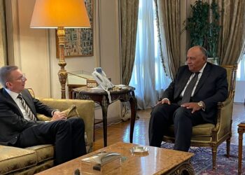 Egyptian, Latvian FMs hold talks