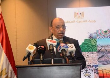 Political leadership keen on supporting African states – Shaarawi