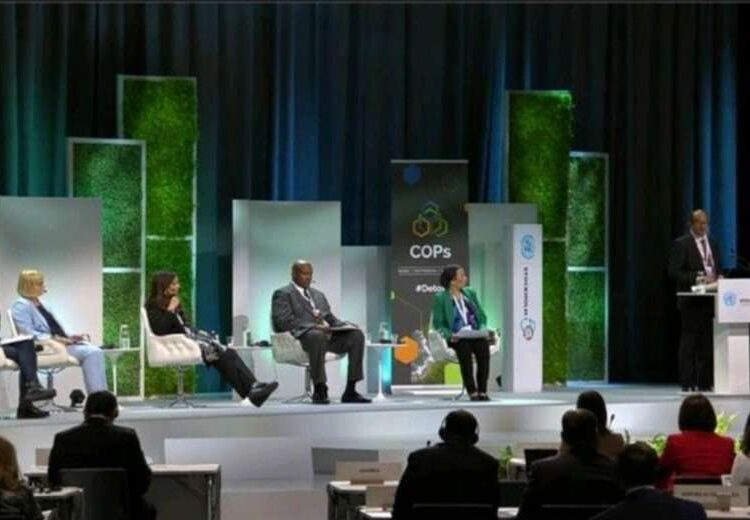 Environment min. underlines importance of implementing Basel, Rotterdam, Stockholm conventions 1 - Egyptian Gazette