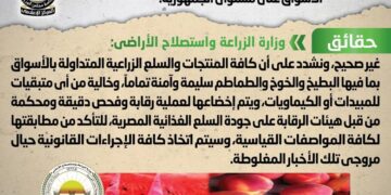 Gov’t denies reports about poisoned watermelon, peach, tomato in markets