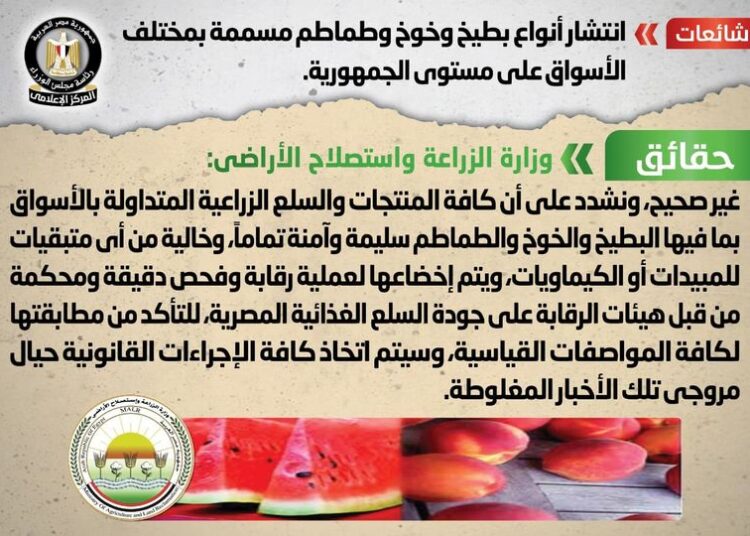Gov't denies reports about poisoned watermelon, peach, tomato in markets 1 - Egyptian Gazette The Egyptian cabinet's media center denied reports about poisoned watermelon, peach and tomato in markets nationwide.