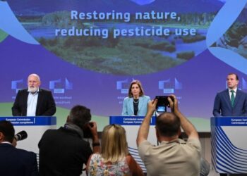 Oceans saved us, now we can return the favour