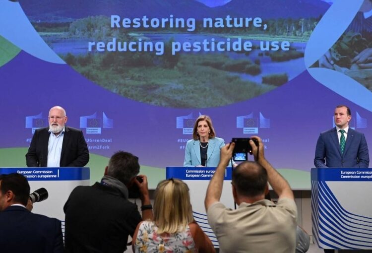 Oceans saved us, now we can return the favour 1 - Egyptian Gazette