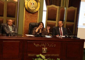 Foreign Ministry reviews Egypt’s efforts within South-South co-operation