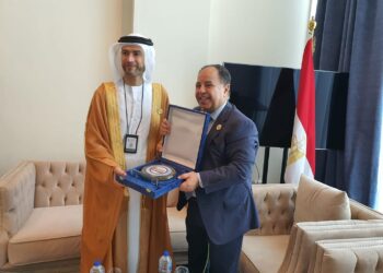 Egypt, UAE agree on boosting cooperation