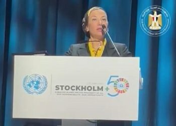 COP27 will be ‘inclusive’ – Egypt’s Environment min.