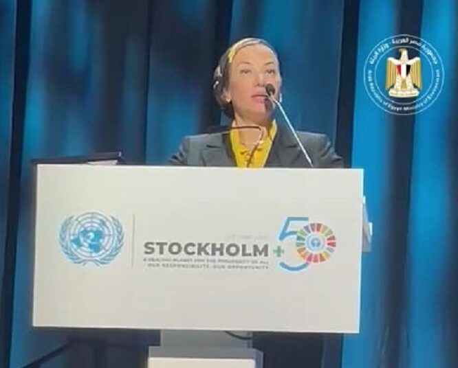 Egyptian Minister of Environment Yasmine Fouad