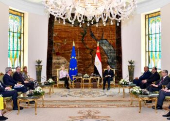 Sisi: EU key partner in various domains