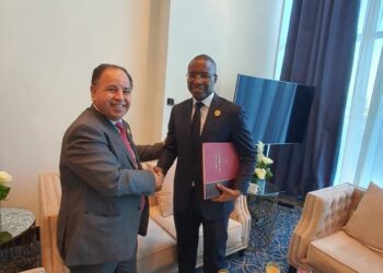 ‘Egypt keen on reaching unified vision to protect African economies from global shocks’