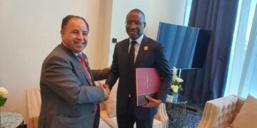 ‘Egypt keen on reaching unified vision to protect African economies from global shocks’