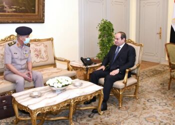 Sisi meets defense minister