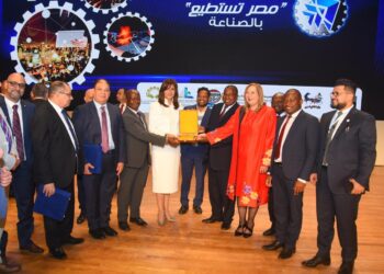 Agreements reached between Egyptian, African companies: Emigration min.