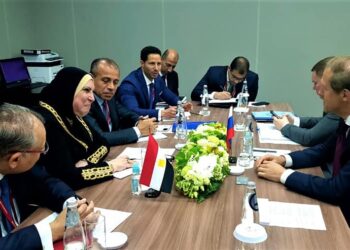 Egypt, Russia have growing economic ties – Trade min.
