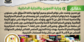 Gov’t denies claims on Egypt’s suffering from food commodities shortage