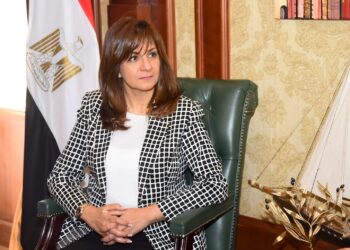 Egypt keen on protecting rights of its sons, respecting laws of host countries – min.