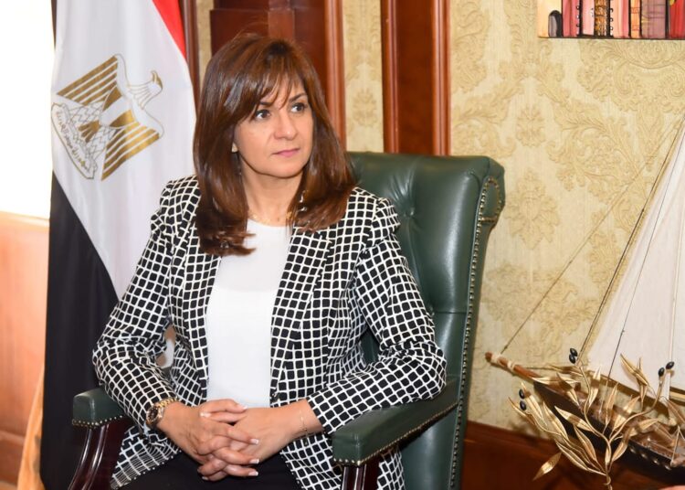 Egypt keen on protecting rights of its sons, respecting laws of host countries - min. 1 - Egyptian Gazette