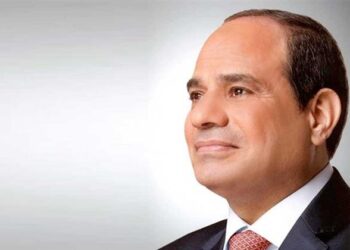 Presidential decree issued to amend provisions of decision on establishing Sphinx University