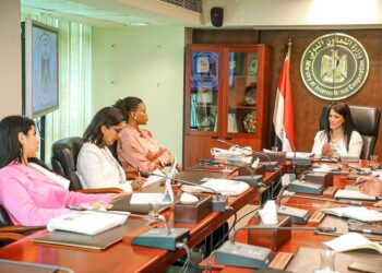 Mashat says entrepreneurship could have role in countering climate change