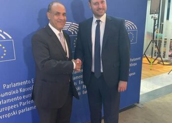 Egyptian amb., European lawmakers discuss bilateral co-operation