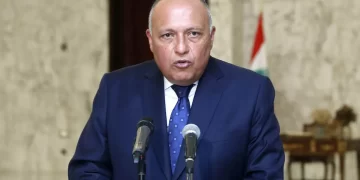 FM, Prince of Wales probe Egypt’s vision on COP27