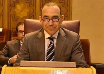 ‘Egypt main trade partner to Germany, cornerstone of stability, development in ME’