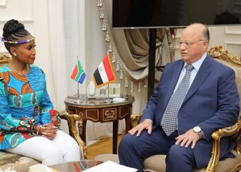 Cairo, Johannesburg discuss co-operation, exchange of experiences