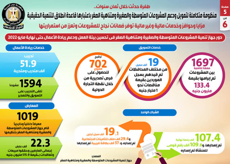 Egypt's integrated system developed to fund, support SMEs 1 - Egyptian Gazette
