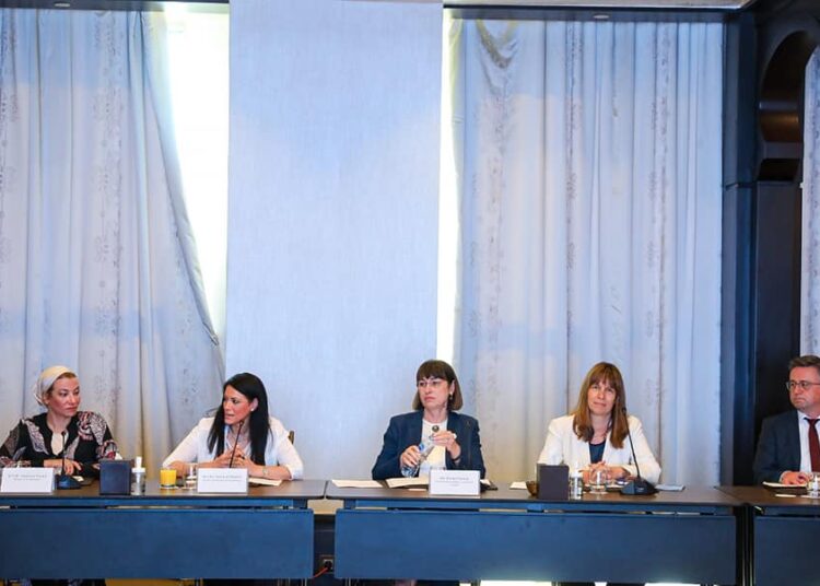 Egypt aspires to present success story in COP27: Enviornment min. 1 - Egyptian Gazette