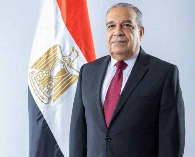 `Egyptian economy resilient despite global negative impacts` 1 - Egyptian Gazette