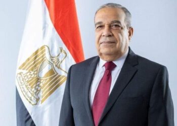 `Egyptian economy resilient despite global negative impacts`