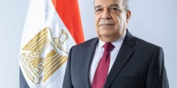 `Egyptian economy resilient despite global negative impacts`