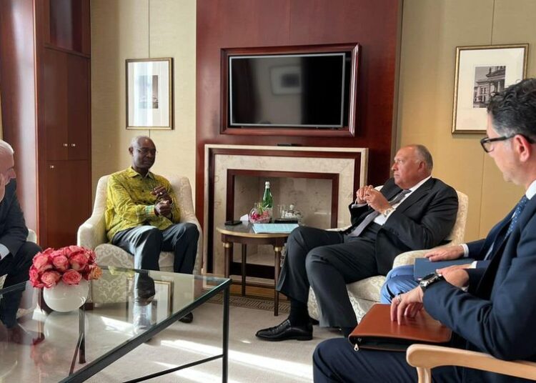 Egyptian FM holds with UNFCCC acting executive secretary 1 - Egyptian Gazette