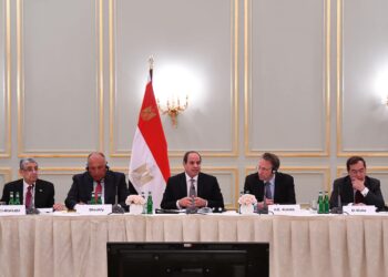 Sisi: Egypt keen to continue developing economic co-operation with German business community