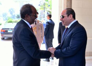 Somali president: Egypt’s support helps us achieve common interests in region, world