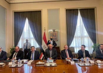 Shoukry holds talks with Austrian FM on bilateral ties