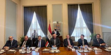 Shoukry holds talks with Austrian FM on bilateral ties