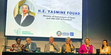 ‘COP27 to be real chance for investment in humans’