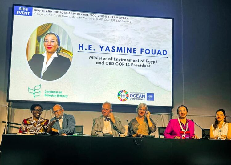 'COP27 to be real chance for investment in humans' 1 - Egyptian Gazette