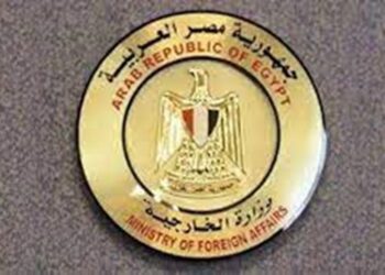 Foreign Ministry follows up case of Egyptian physician who was shot, stabbed with knife in Saudi Arabia