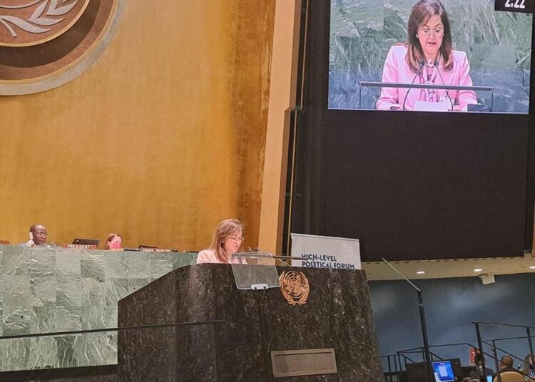 Minister Hala El Said