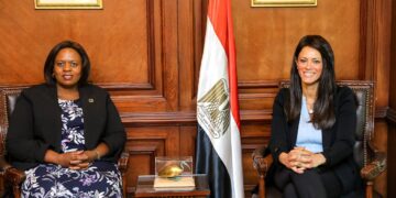 Egypt, UN discuss joint investments, partnership with private sector