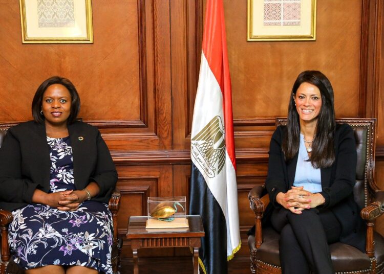 Egypt, UN discuss joint investments, partnership with private sector 1 - Egyptian Gazette