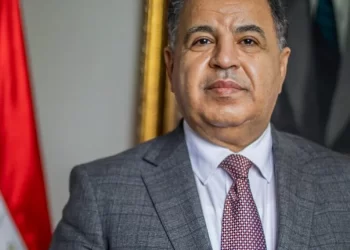 Customs procedures to be eased for Egyptian pilgrims, expats- minister