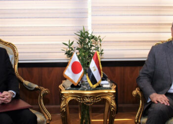 Egyptian-Japanese co-operation in air transport activities
