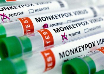 EU approves smallpox vaccine for use against monkeypox
