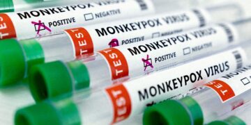 EU approves smallpox vaccine for use against monkeypox