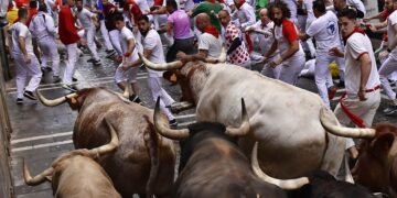 Bulls run in Spain’s Pamplona for 1st time since 2019