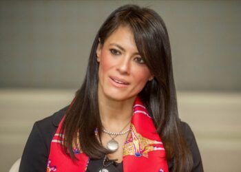 Mashat: Int’l partnerships of Egypt depend on 4 axes