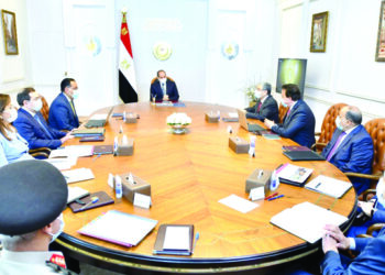 Sisi orders gov’t to rely on local components amid supply chain disruptions